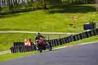Red Bikes